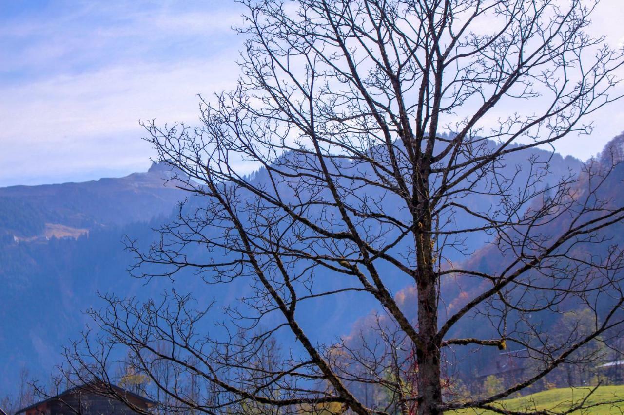 Haus Am Wasserfall Mellau Dış mekan fotoğraf